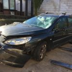 Peugeot 407 sw